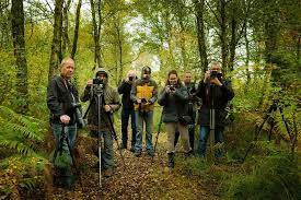 natuurfotografie workshop