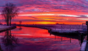 betuwe fotograaf