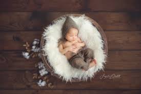 little star fotografie