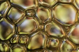 creatief fotograferen