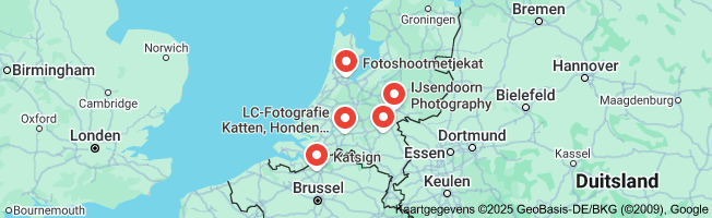 katten fotograaf